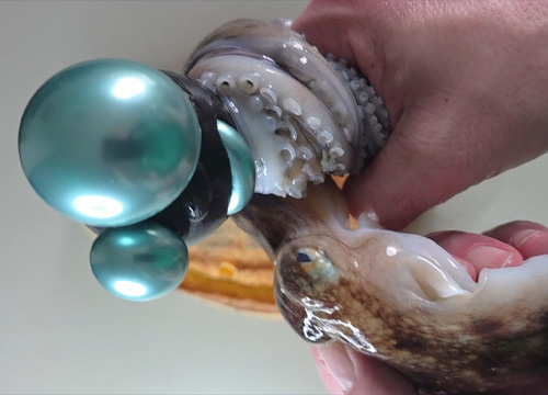 Attention Engineering